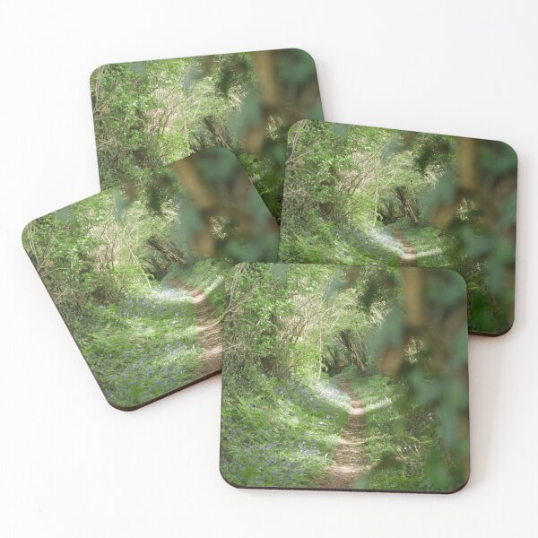 Item preview, Forest foot path designed and sold by TomInWales.