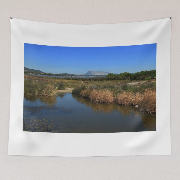 Item preview, The lagoon of San Teodoro designed and sold by annalisa56.