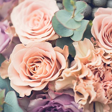 Artwork thumbnail, Pretty Roses by nzsimmer