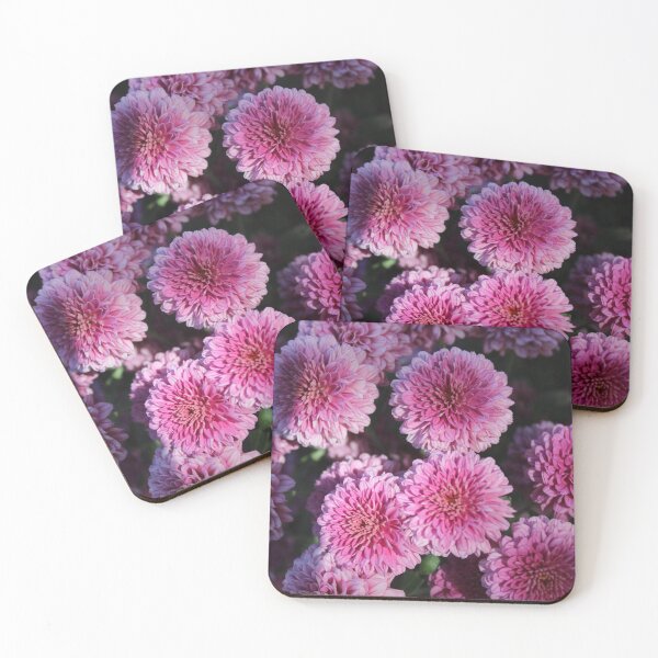 Item preview, Chrysanthemum Flowers Photo designed and sold by sloewth.
