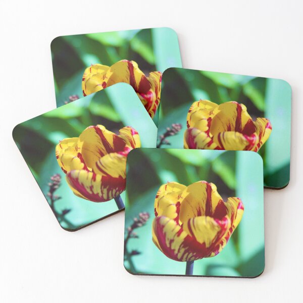 Item preview, Red and Yellow Patterned Tulip Photo designed and sold by sloewth.