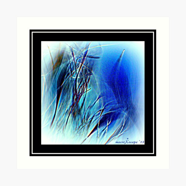 Blue Grass Art Print