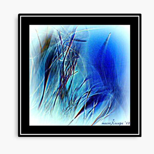 Blue Grass Canvas Print