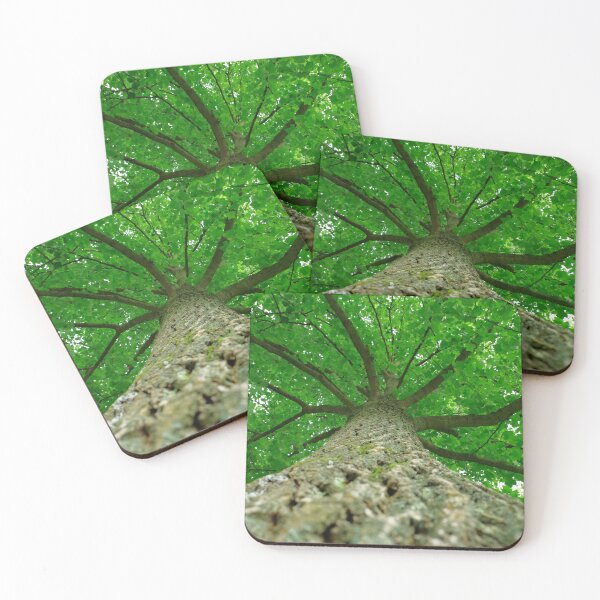 Item preview, Liriodendron treetop designed and sold by Treemonk.