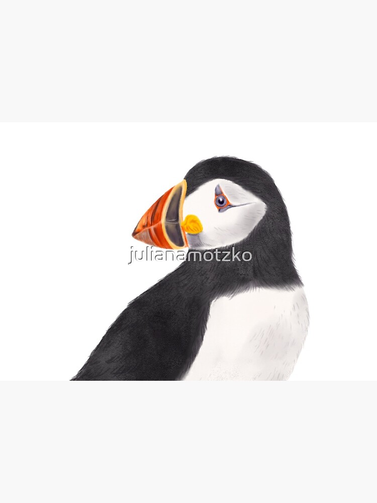 Puffin by julianamotzko