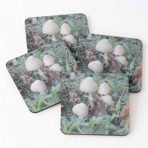 Item preview, Mushroom 01 designed and sold by RGVandMe.