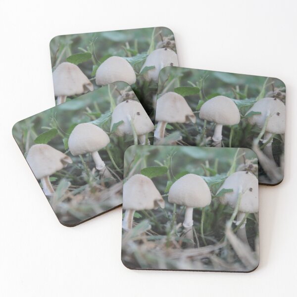 Item preview, Mushroom 02 designed and sold by RGVandMe.