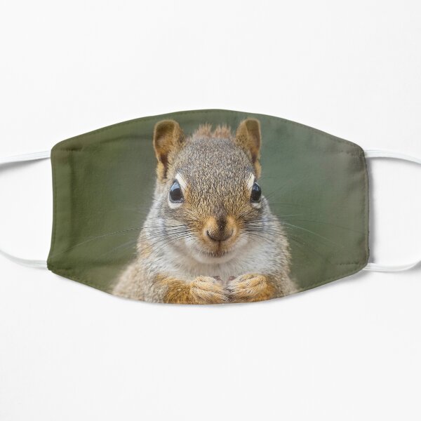 Portrait of Red Squirrel Flat Mask