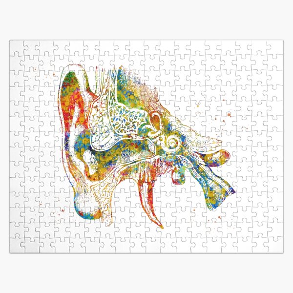 Vista previa del artículo con la obra « Impresión de acuarela de anatomía», diseñado y vendido por Liededrom..