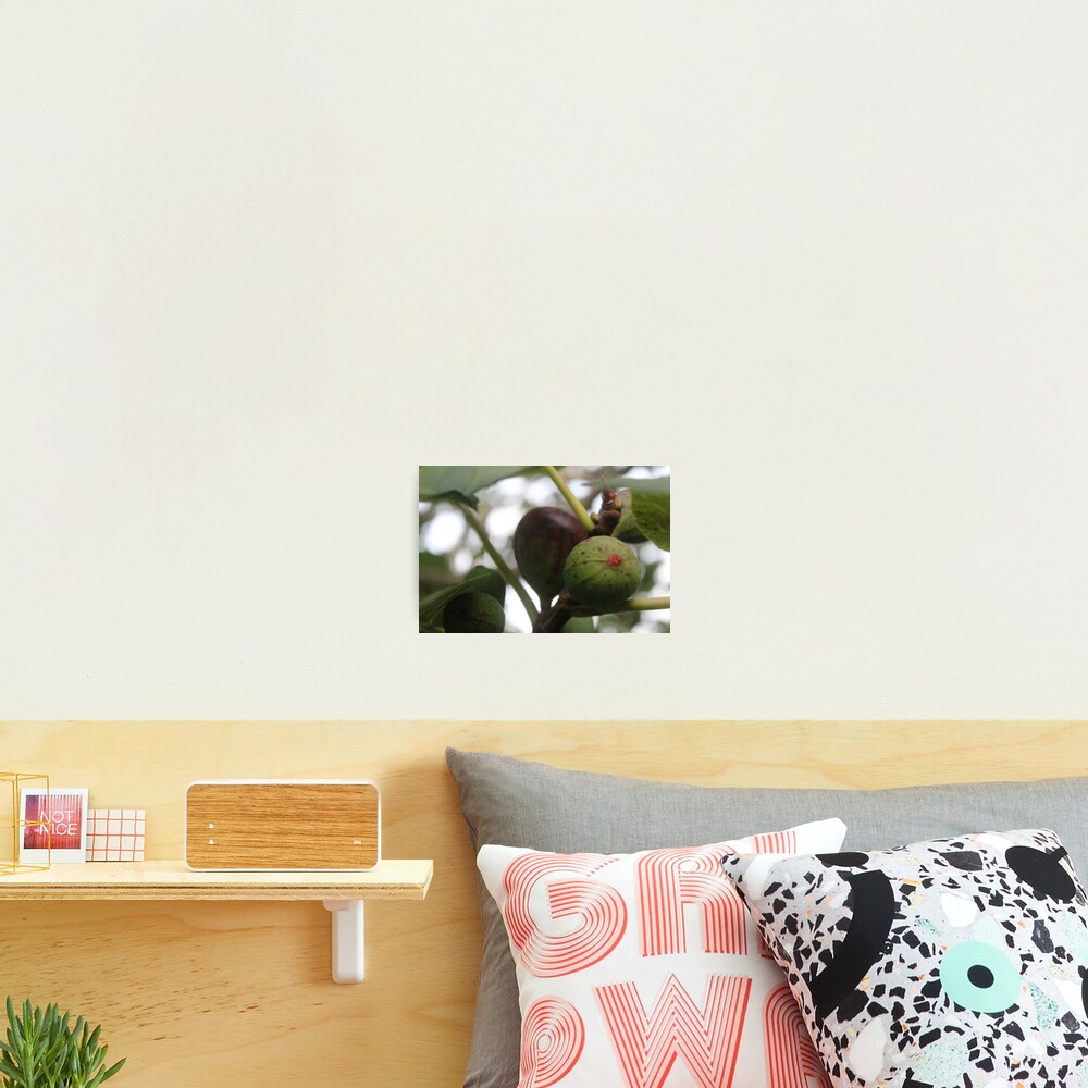 Item preview, Photographic Print designed and sold by RGVandMe.