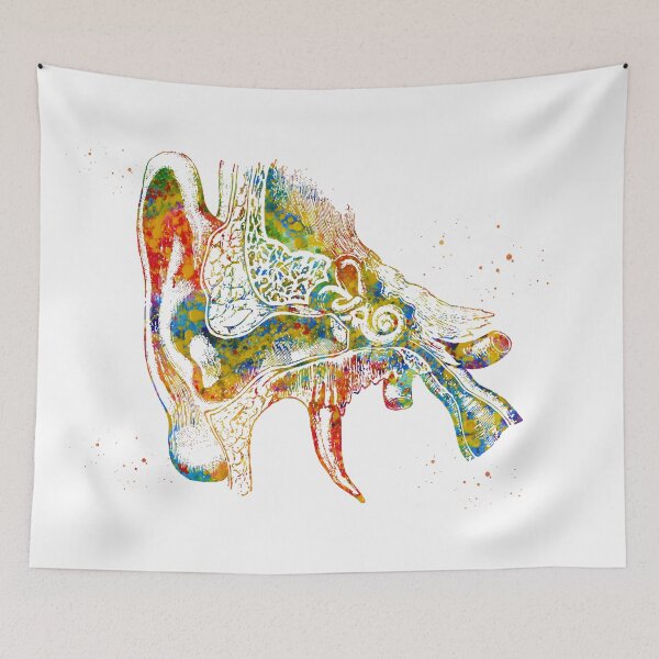 Item preview, Human ear designed and sold by Liededrom..