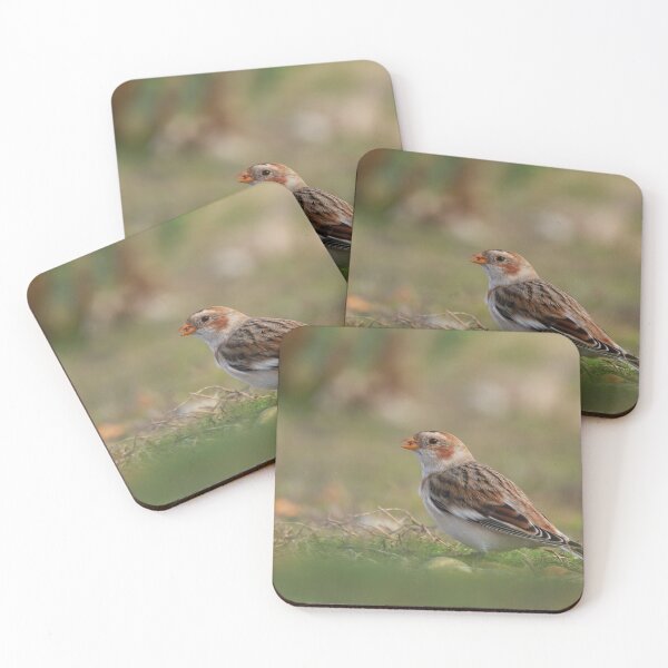 Item preview, Finding food  designed and sold by miradorpictures.