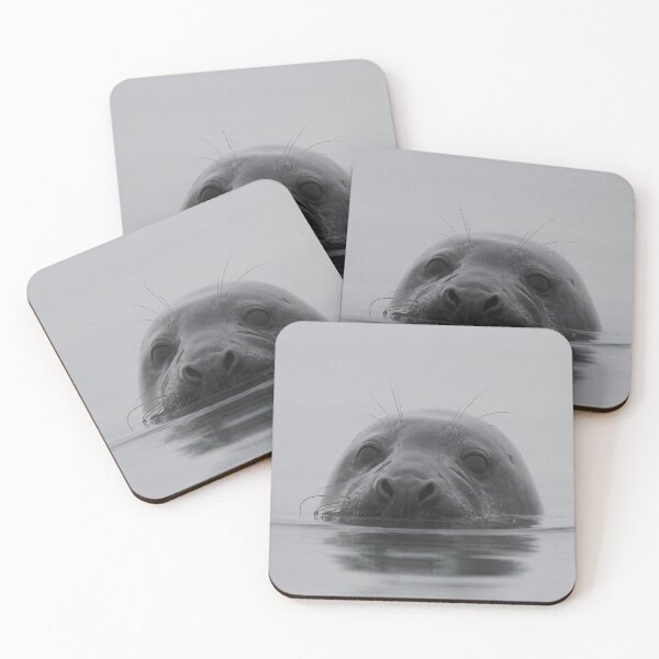 Item preview, Hide and seek designed and sold by miradorpictures.