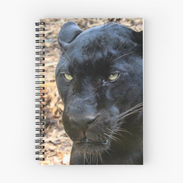 Item preview, Scowling Black Leopard designed and sold by WildandDivine.