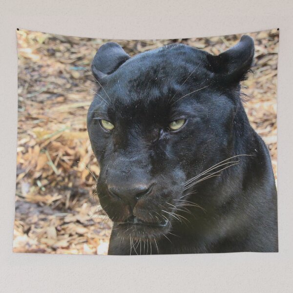 Item preview, Scowling Black Leopard designed and sold by WildandDivine.