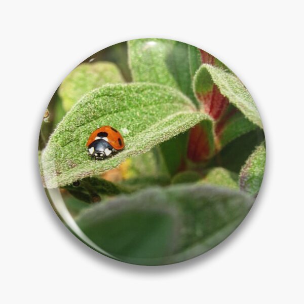 Item preview, Ladybird on a Leaf designed and sold by WildandDivine.