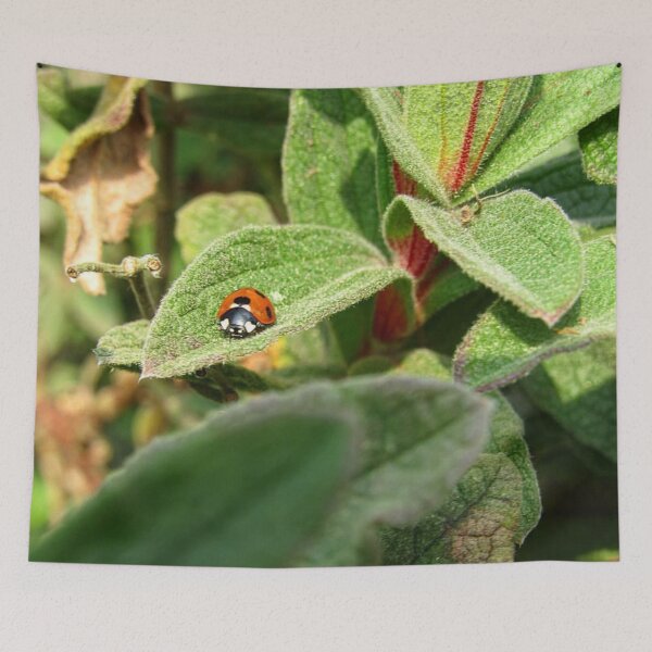 Item preview, Ladybird on a Leaf designed and sold by WildandDivine.