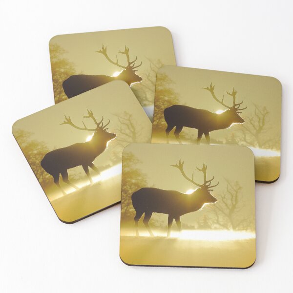 Item preview, Morning glow designed and sold by Steve Adams.