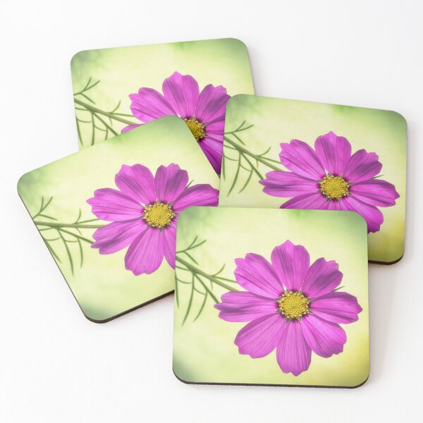Item preview, Pink Cosmos. designed and sold by John Ray.