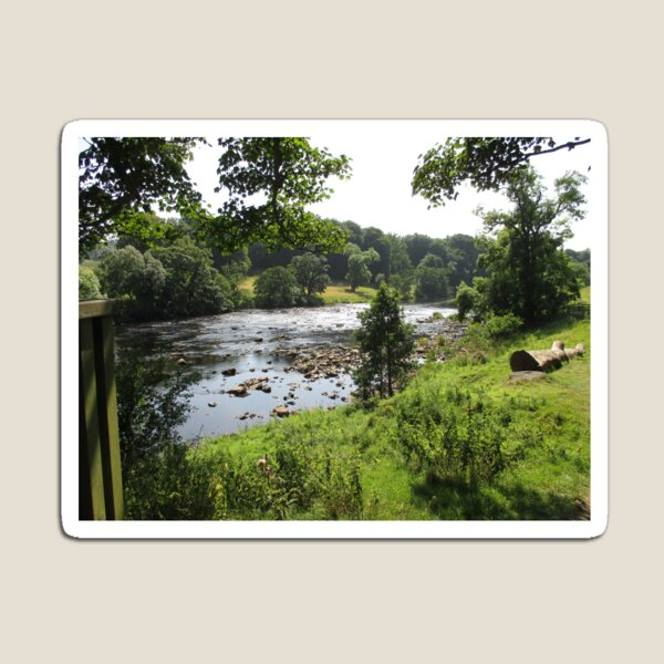Merch #92 -- Stream Between Trees - Shot 2 (Hadrian's Wall) Magnet