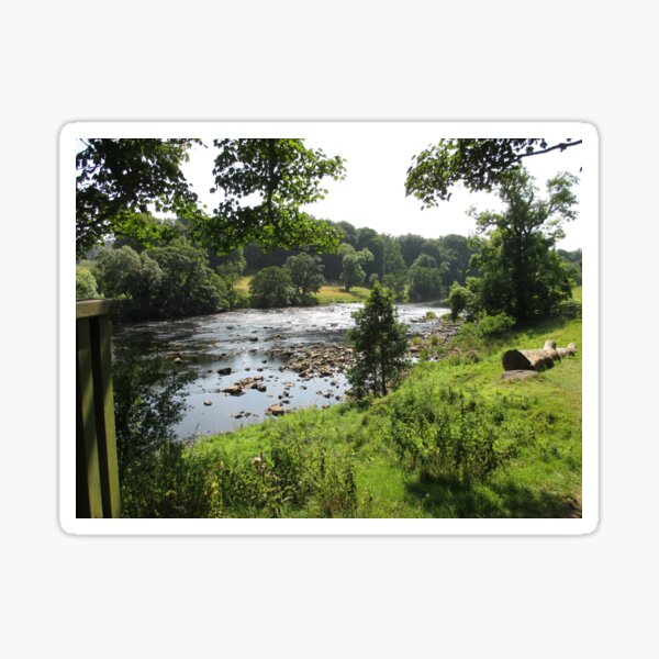 #92 |☼| Stream Between Trees - Shot 2 (Hadrian's Wall) Sticker