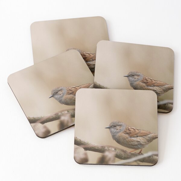 Item preview, Dazzling dunnock designed and sold by miradorpictures.