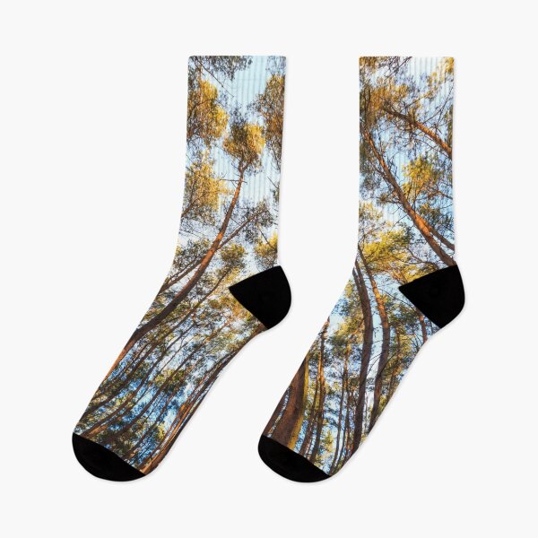 Item preview, forest landscape photography - Trees and sky   designed and sold by ohaniki.