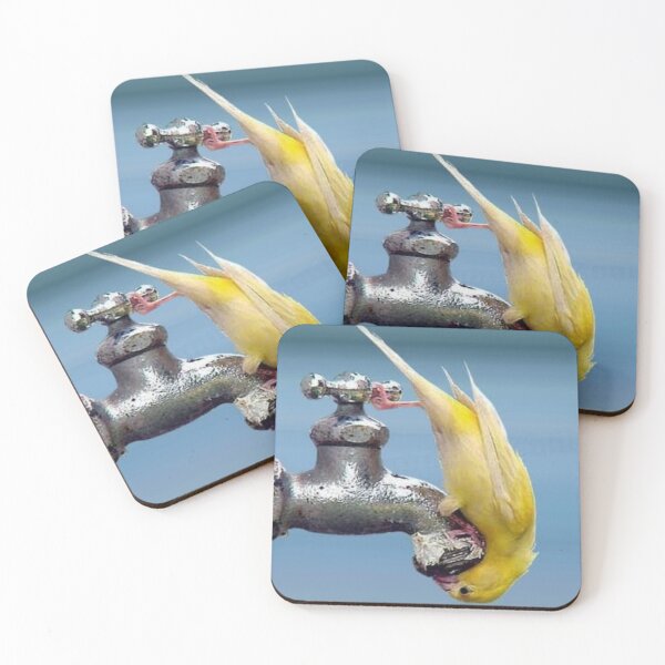 Item preview, bird nip designed and sold by AlfordsStore.