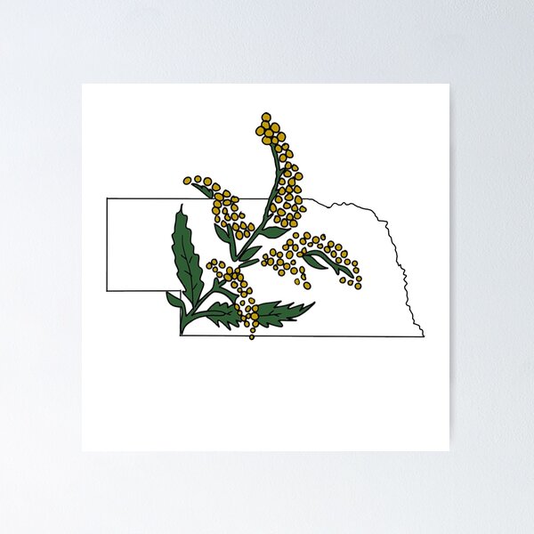 Item preview, Nebraska State Flower designed and sold by claireepete.