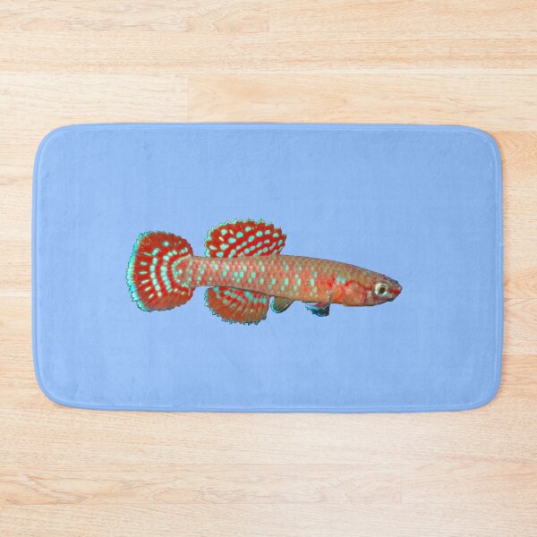 Item preview, Aphyosemion (Diapteron) abacinum - ABA Killifish designed and sold by killies.