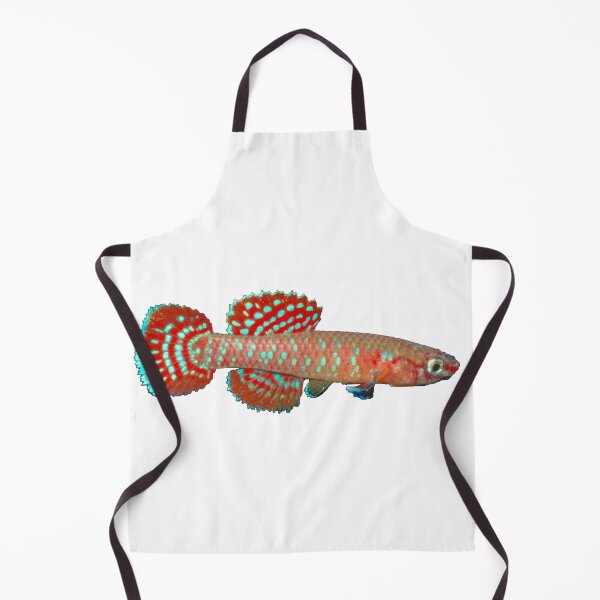 Item preview, Aphyosemion (Diapteron) abacinum - ABA Killifish designed and sold by killies.