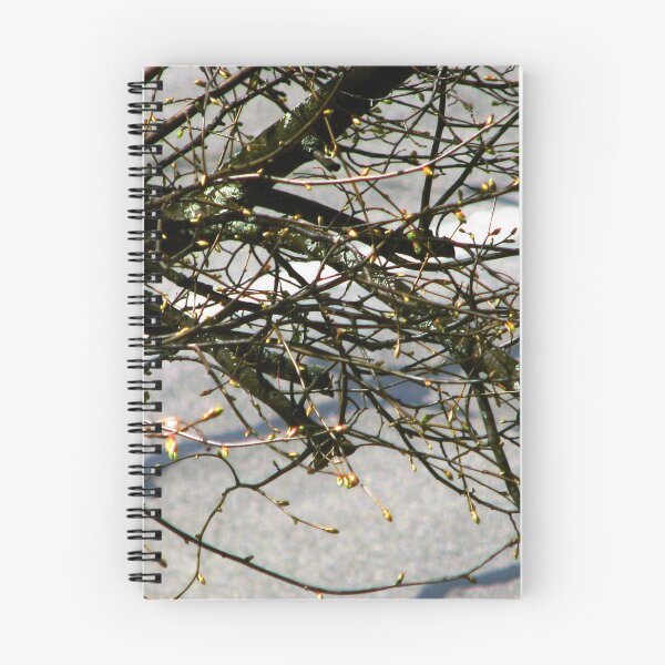 Item preview, Barren Branches designed and sold by Jaeda DeWalt.