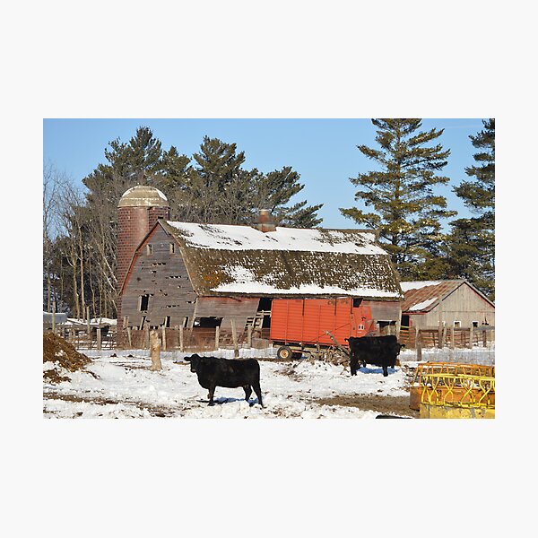Item preview, The Winter Barnyard designed and sold by LynyrdSky.