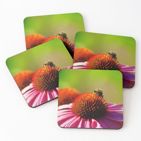Item preview, Echinaceae - Purple Cone Flower with bumblebee designed and sold by Treemonk.