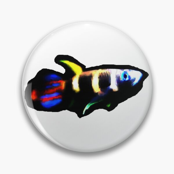 Item preview, Clown Killifish designed and sold by killies.