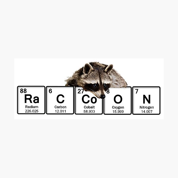 Item preview, raccoon periodic table design designed and sold by Natalie-kha.