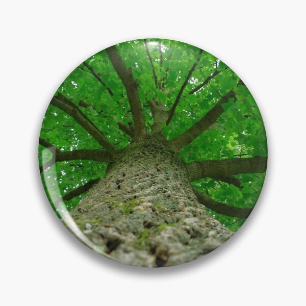 Item preview, Liriodendron treetop designed and sold by Treemonk.