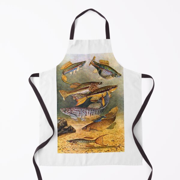 Item preview, Bade 1915 Killifish Drawing designed and sold by killies.