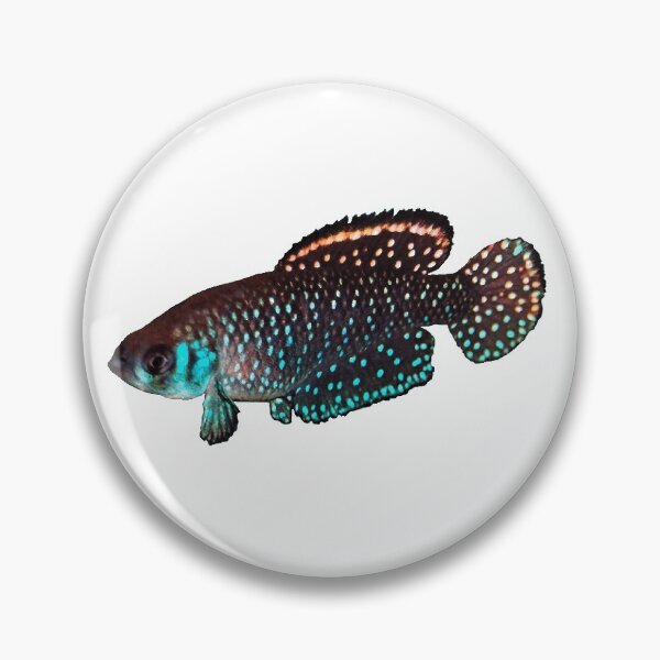 Item preview, Argentine Pearl Killi Fish designed and sold by killies.