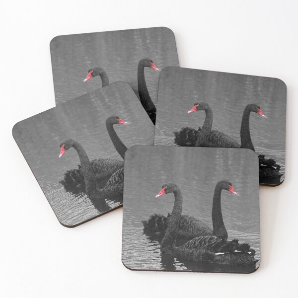 Item preview, Black swan designed and sold by miradorpictures.