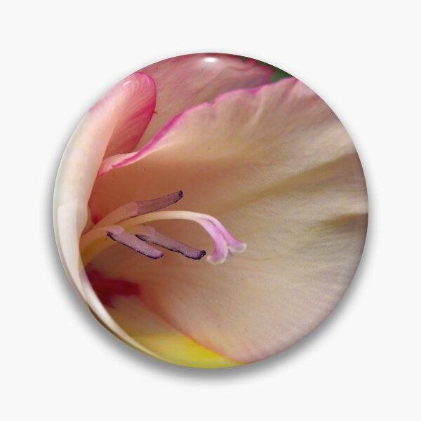 Artikelvorschau, Gladiolenblume entworfen und verkauft von Harrisonphoto.