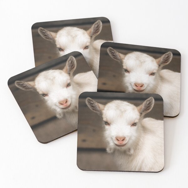 Item preview, smiling white domestic goat animal portrait designed and sold by Nikoleta Vukovic.
