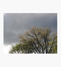 Summer Shower Photographic Print