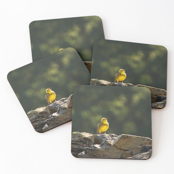 Item preview, #271 Yellow Hammer at Bradgate Park in Leicestershire designed and sold by phutball.