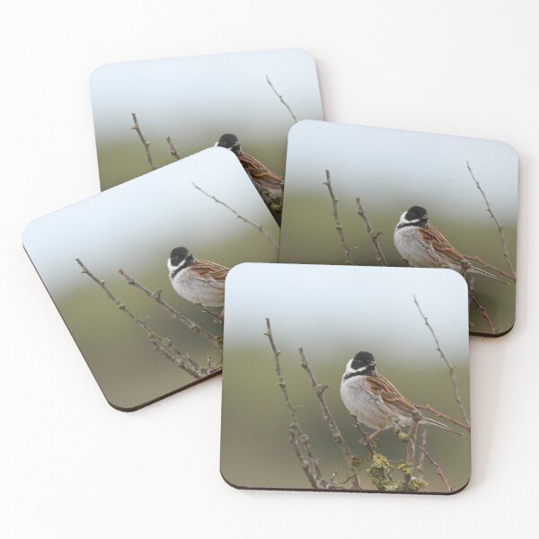 Item preview, Reed bunting  designed and sold by miradorpictures.