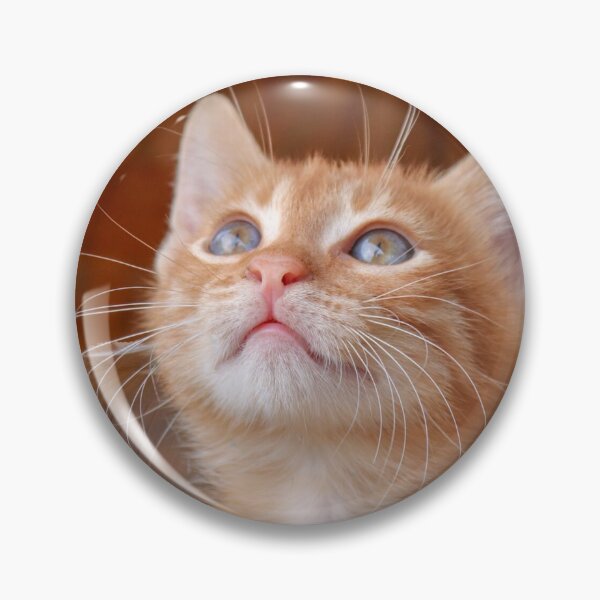 Item preview, Winged cat designed and sold by GranSer1.