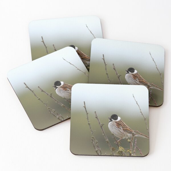 Item preview, Rustling Reed Bunting designed and sold by miradorpictures.