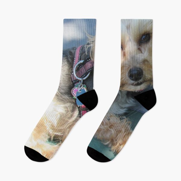Item preview, Penny the Yorkipoo designed and sold by Karen Dayton.