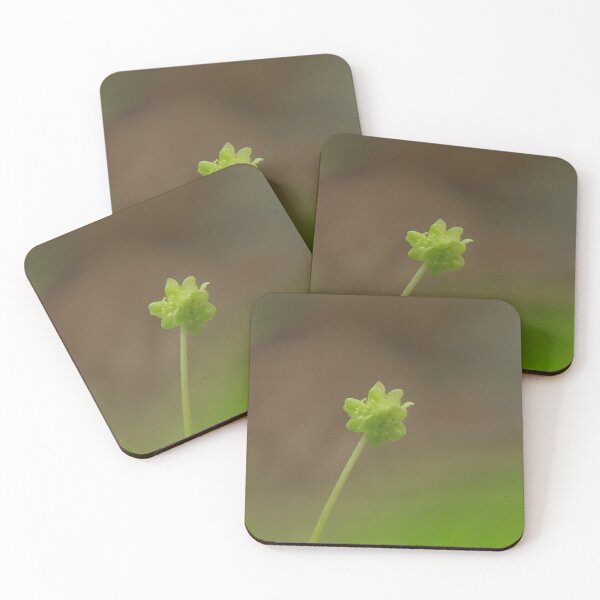 Item preview, Marvelous mochatel designed and sold by miradorpictures.