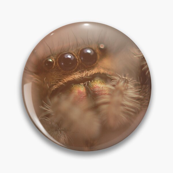 Item preview, Jumping Spider Macro designed and sold by SharpSpiders.